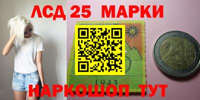 ПСИЛОЦИБИНОВЫЕ ГРИБЫ Нальчик