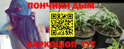ПСИЛОЦИБИНОВЫЕ ГРИБЫ Нальчик