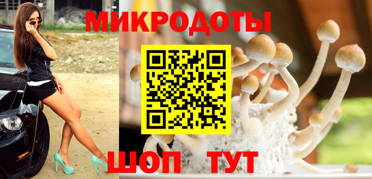 Галлюциногенные грибы Psilocybine cubensis  Вход с VPN  Псилоцибиновые грибы Psilocybe  Славгород 
